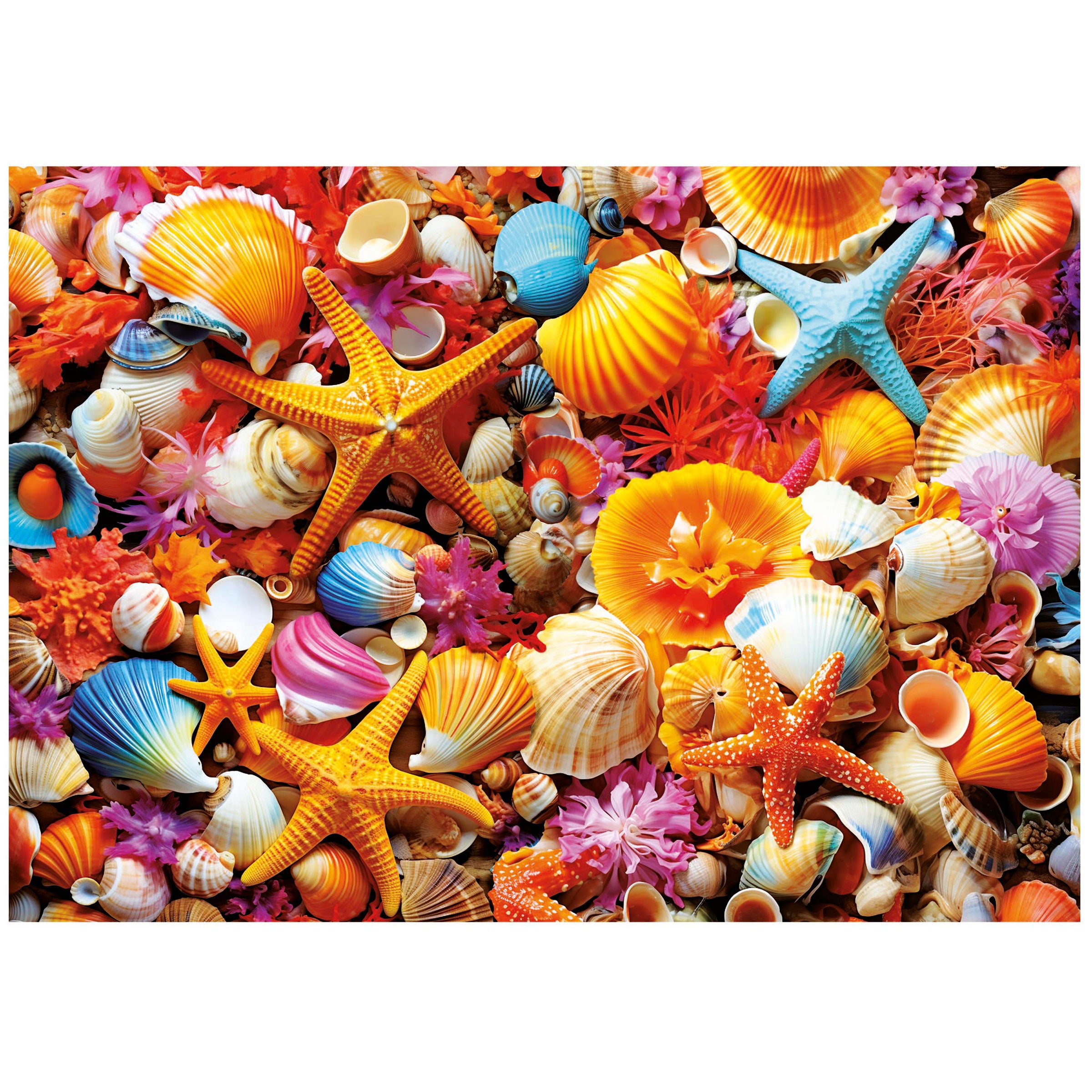 אוסף צדפים - פאזל 1000 חלקים EDUCA