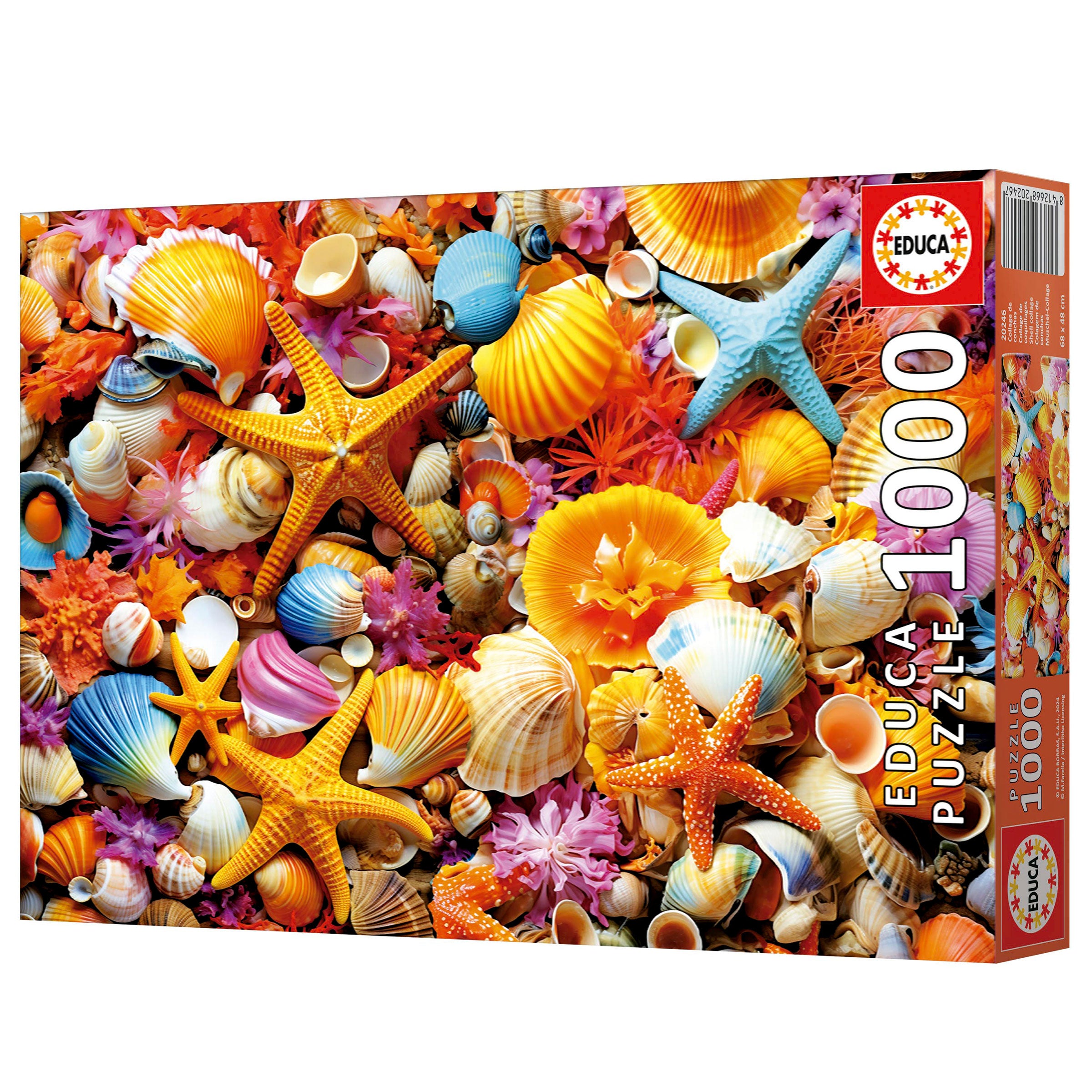 אוסף צדפים - פאזל 1000 חלקים EDUCA