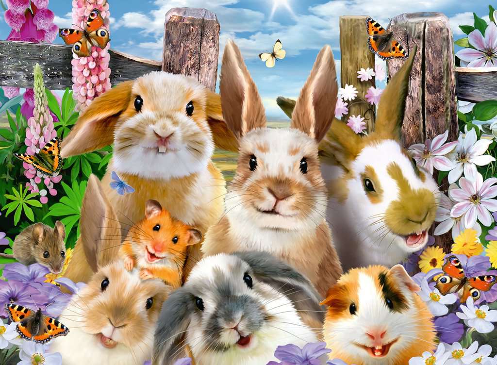 סלפי ארנבים