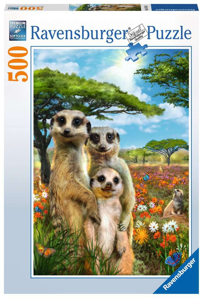 חיוך של סוריקטה, פאזל 500 חלקים