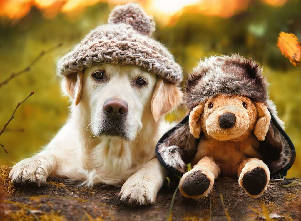 אני והחבר הכי טוב שלי, פאזל 500 חלקים