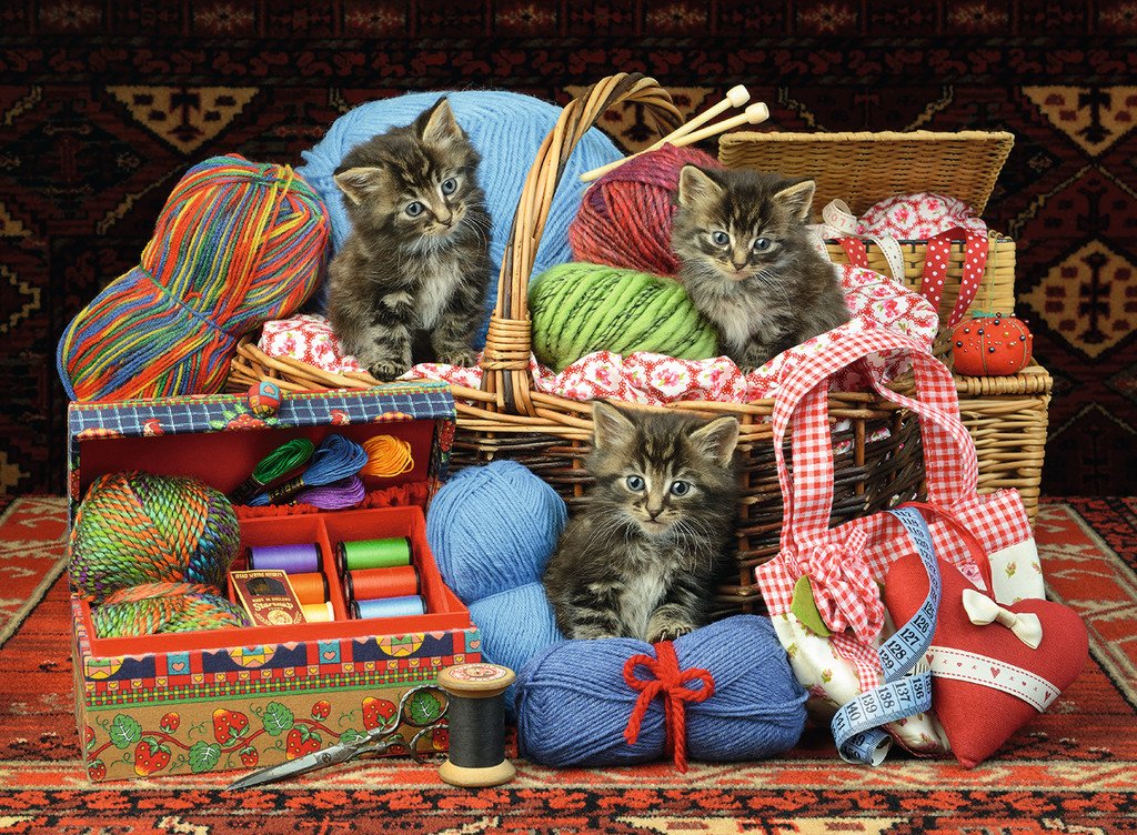 פאזל 500 חל' - חתלתולים בין סלילי צמר