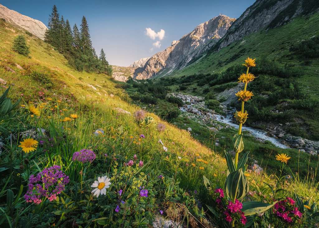 בגן העדן, פאזל 1000 חלקים