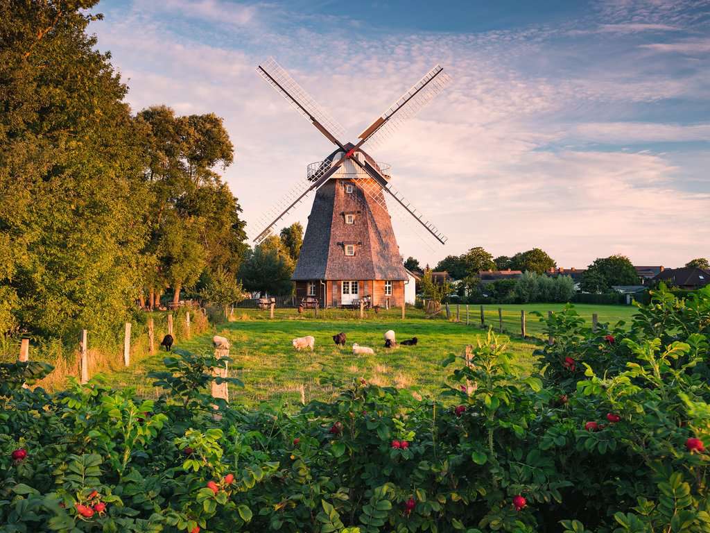 טחנת רוח בים הבלטי, פאזל 1500 חלקים