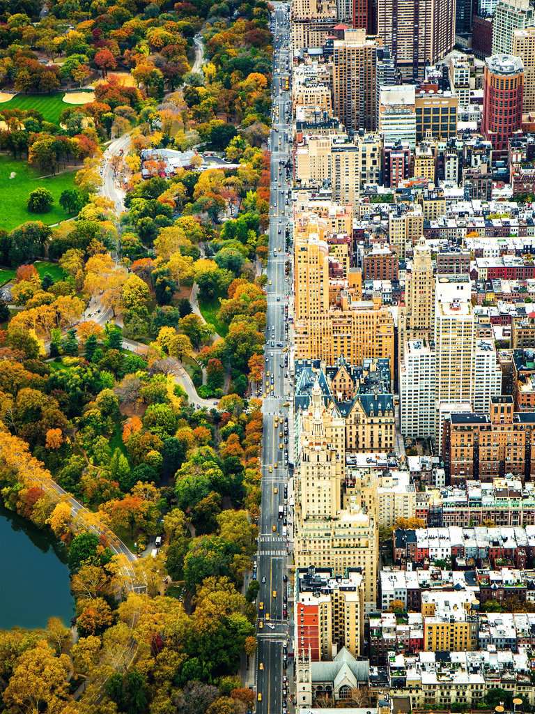 פאזל 1500 חל' - ניו יורק מחולקת