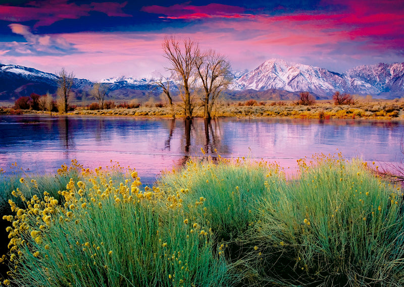 16318 - פאזל 2000 חלקים EDUCA