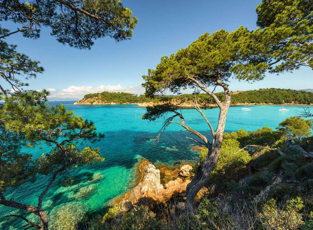 נוף לים - פאזל 500 חלקים