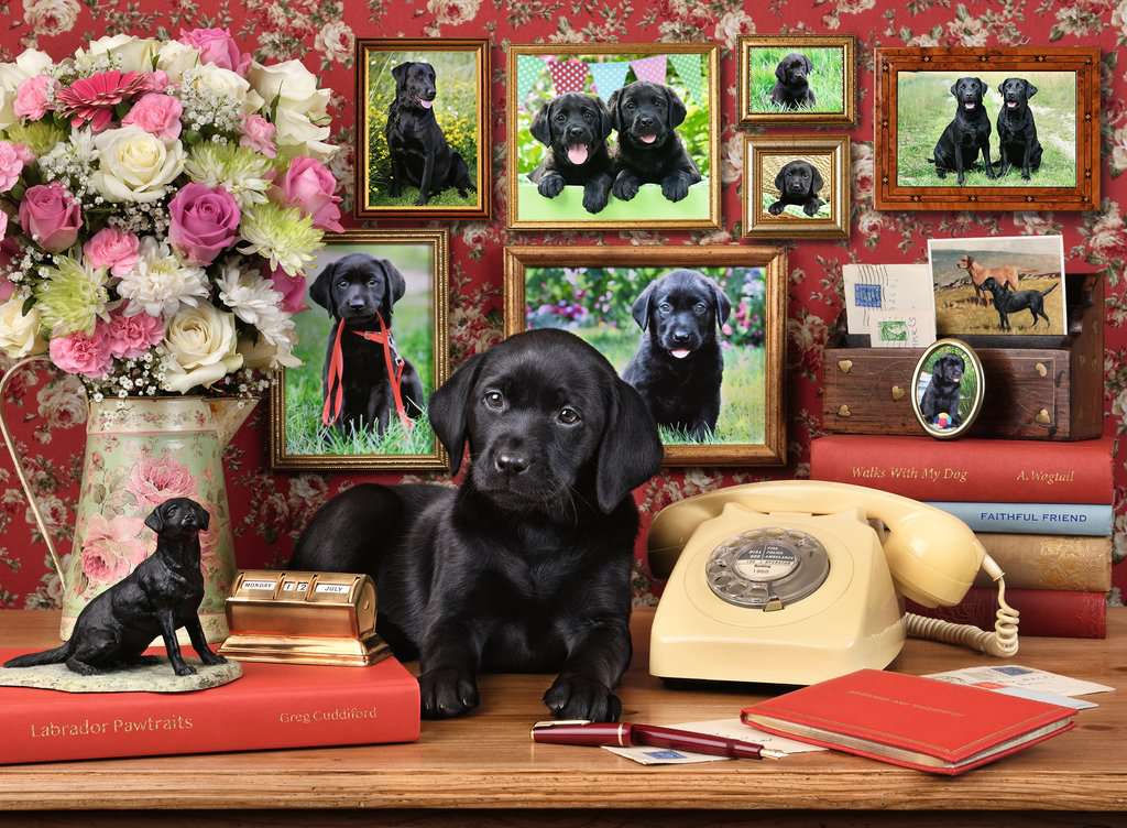 חברי הנאמן - פאזל 500 חלקים