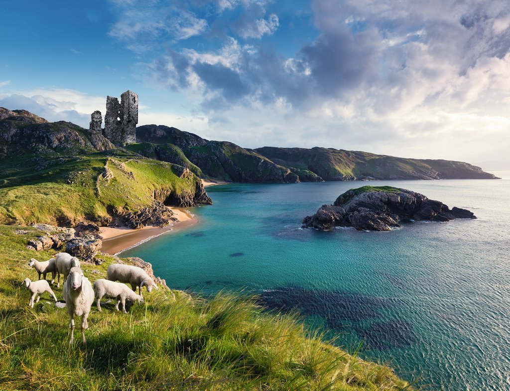 פאזל 2000 חל`- חוף רגוע