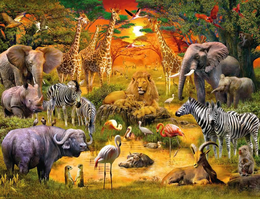 פאזל 2000 חל' - אסיפה במקווה מים