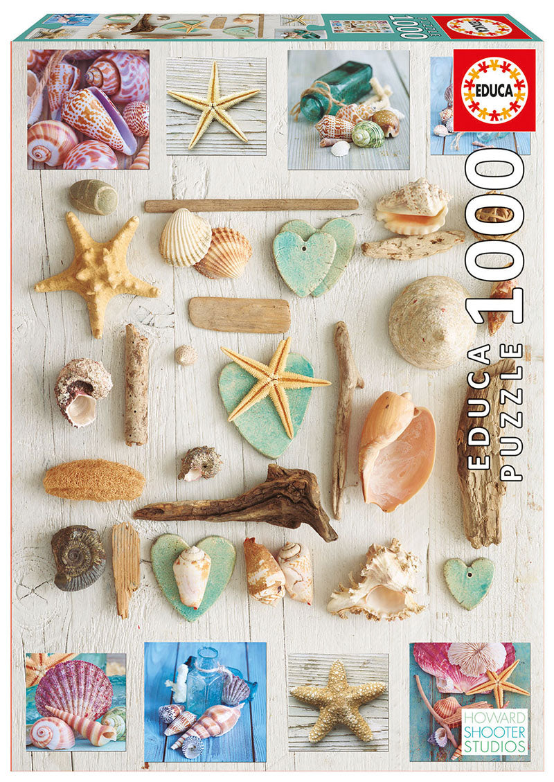 פאזל 1000 חל' - קולקציית צדפים