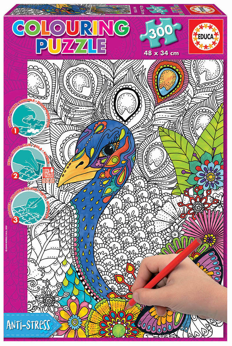 טווס מרהיב - פאזל צביעה 300 חלקים EDUCA