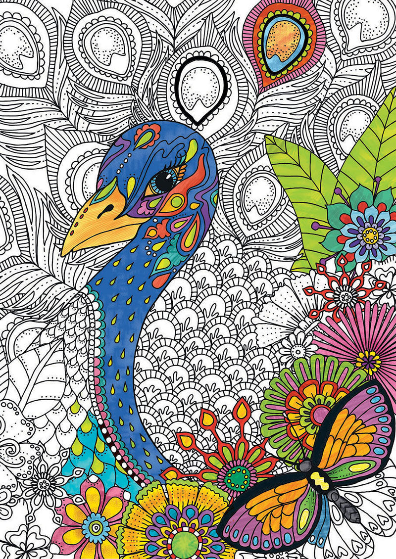 טווס מרהיב - פאזל צביעה 300 חלקים EDUCA