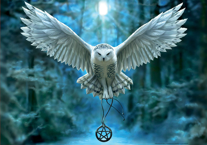 Awaken your Magic - פאזל 500 חלקים EDUCA