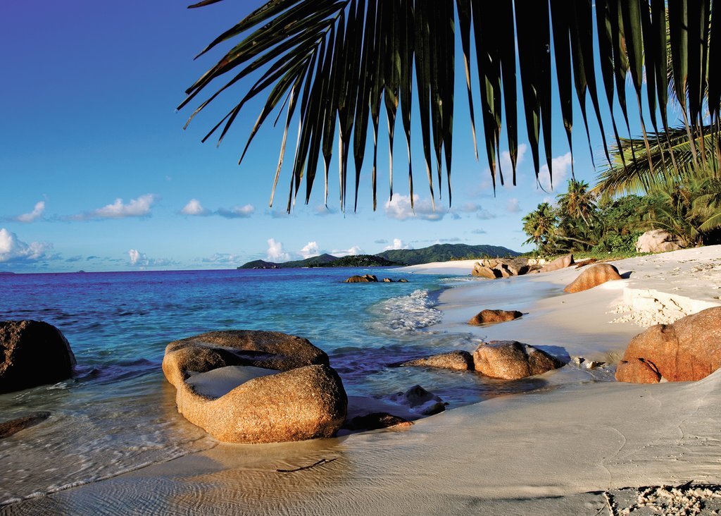 פאזל 1000 חל' - חוף דקלים