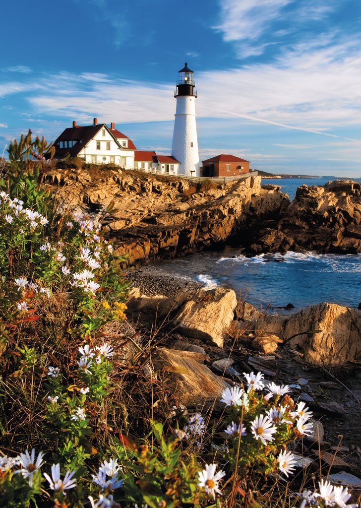 פאזל 1000 חל' - נוף מגדלור