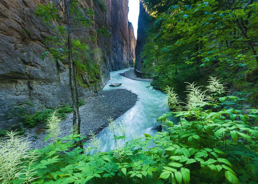 נקיק בנהר הארה, שוויץ, פאזל 1000 חלקים