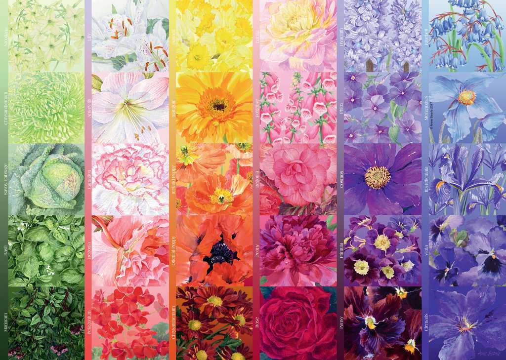 גוונים של פריחה, פאזל 1000 חלקים