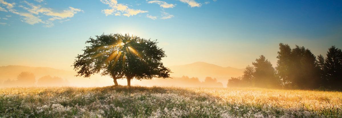 משחק של אור, פאזל 1000 חלקים