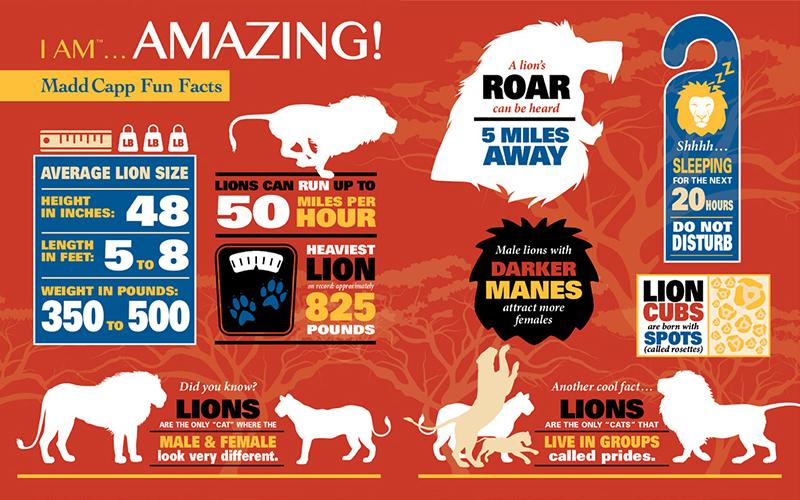 אריה - פאזל צוּרני 550 חלקים