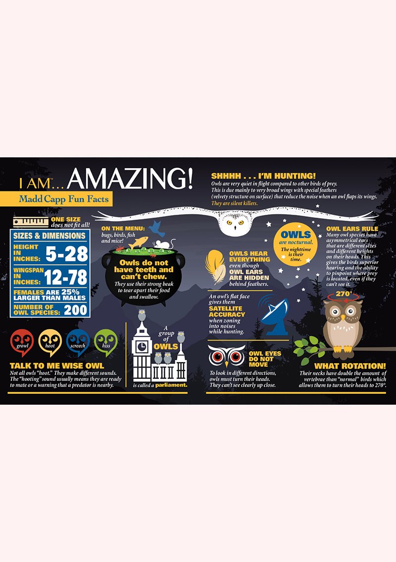 ינשוף - פאזל צוּרני 550 חלקים