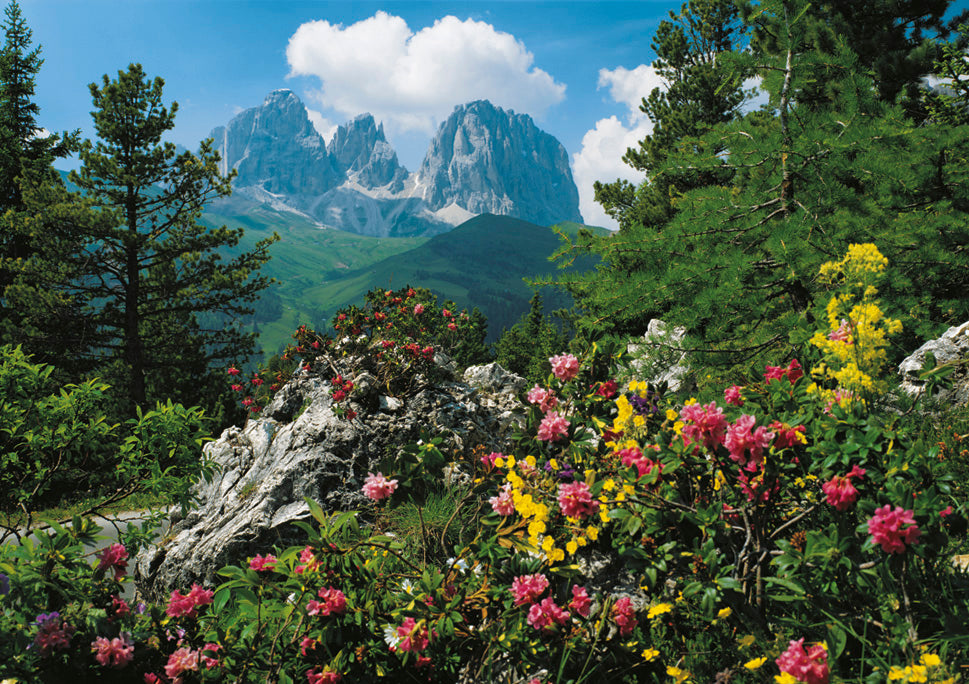 פריחה בהרים **אחרון במלאי** - פאזל 4000 חלקים CLEMENTONI