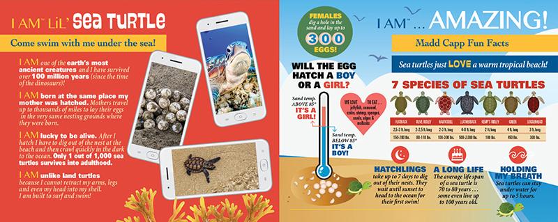 צב ים צעיר - פאזל צוּרני 100 חלקים