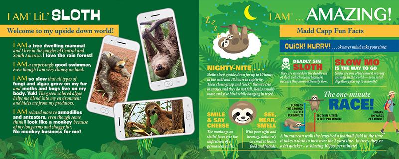 עצלן צעיר - פאזל צוּרני 100 חלקים