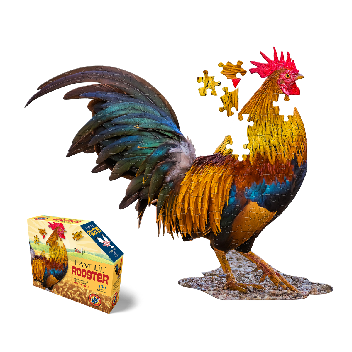 תרנגול צעיר - פאזל צוּרני 100 חלקים