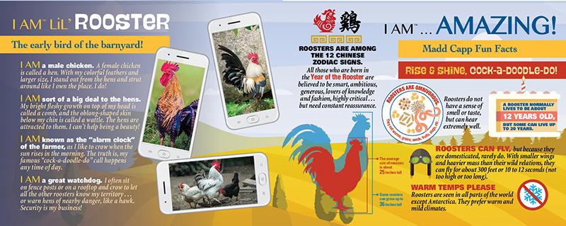 תרנגול צעיר - פאזל צוּרני 100 חלקים