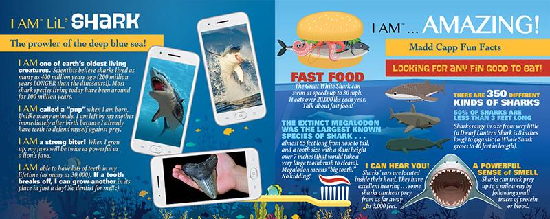 כריש צעיר - פאזל צוּרני 100 חלקים