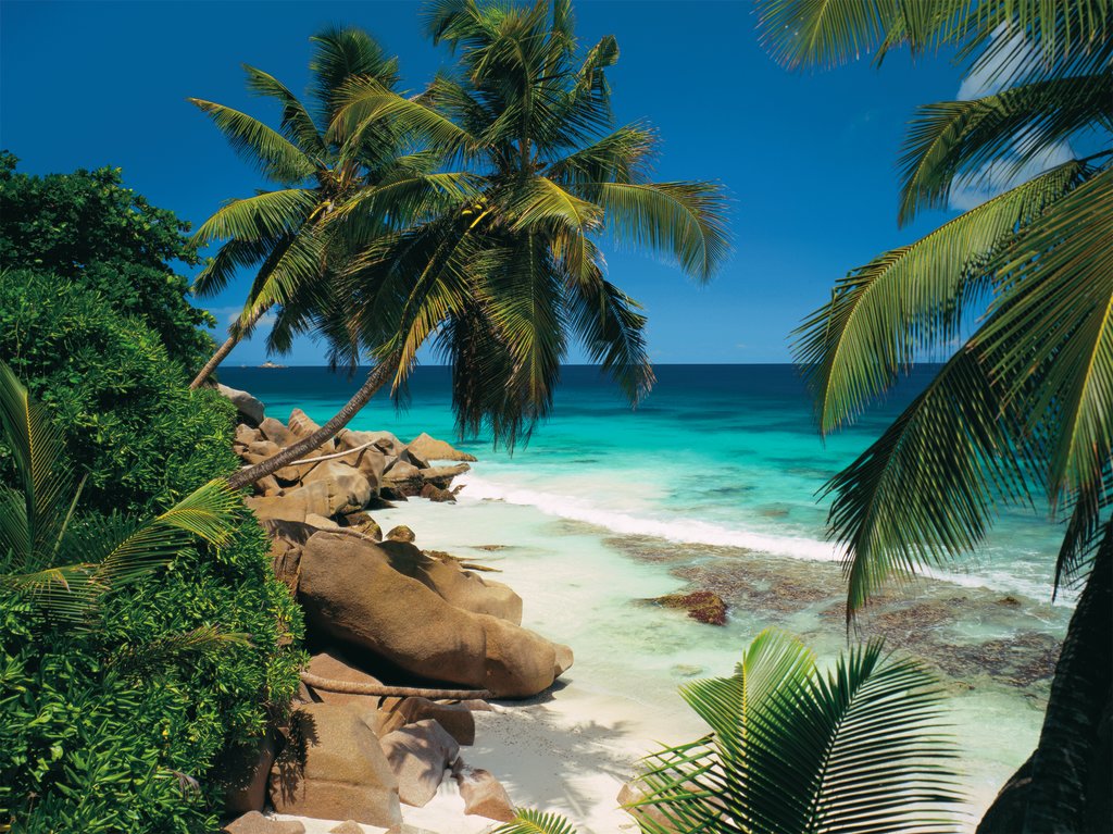 פאזל 2000 חלקים - איי סיישל