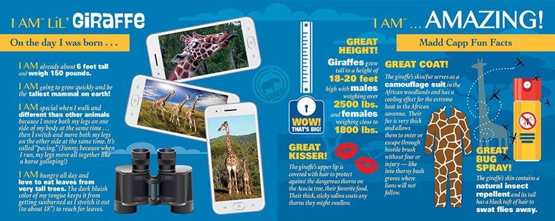 ג'ירף צעיר - פאזל צוּרני 100 חלקים