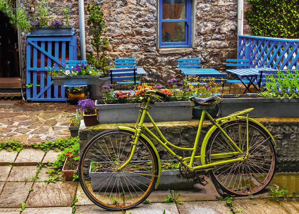 אופניים - וינטג'