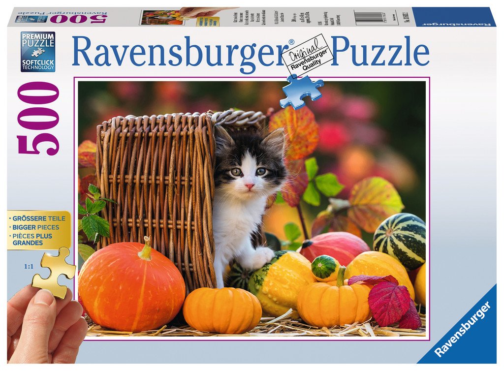 חתלתול בסלסילה