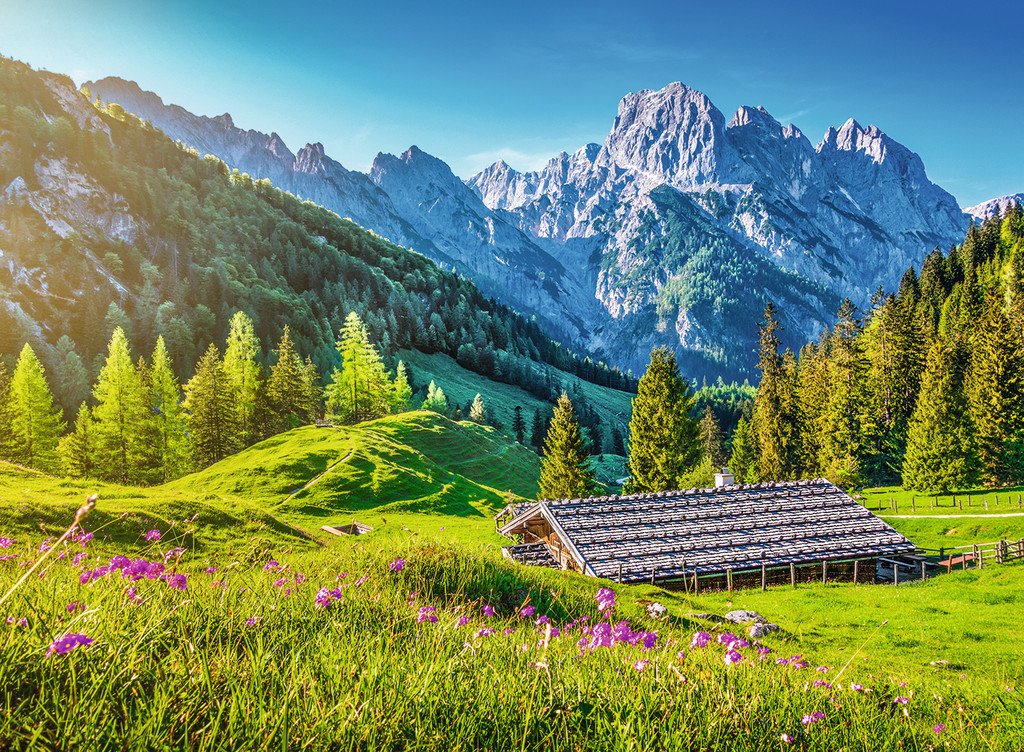אחו למרגלות ההר