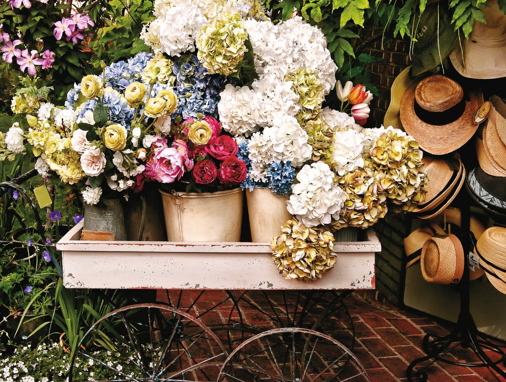 פרחים וכובעים