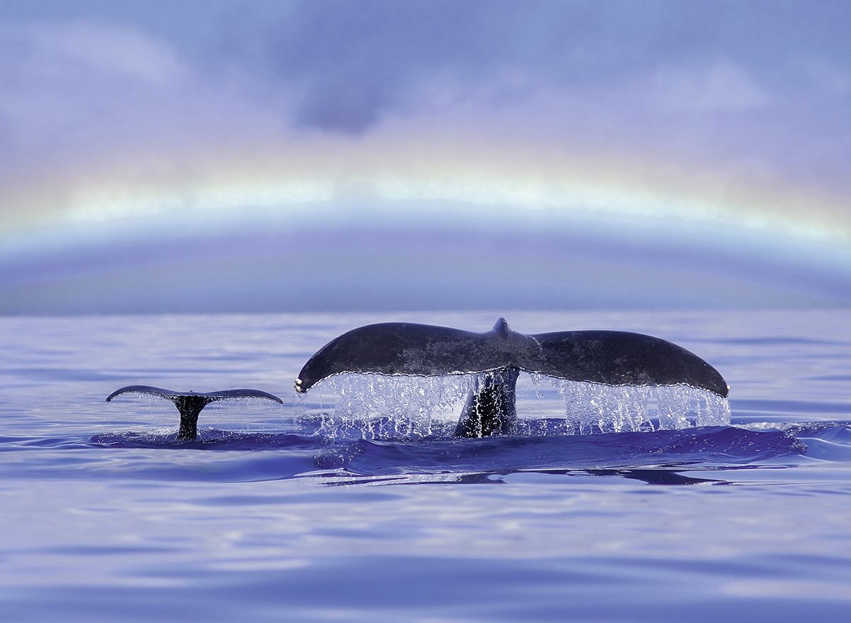 רגע של שלווה