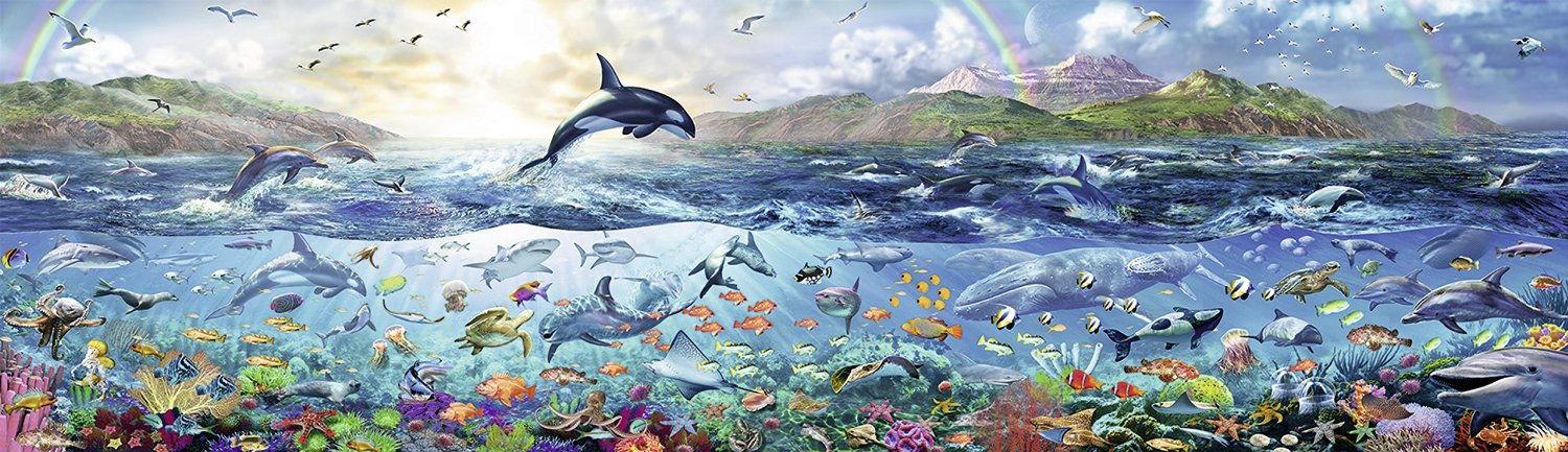 החיים בים - פנורמי