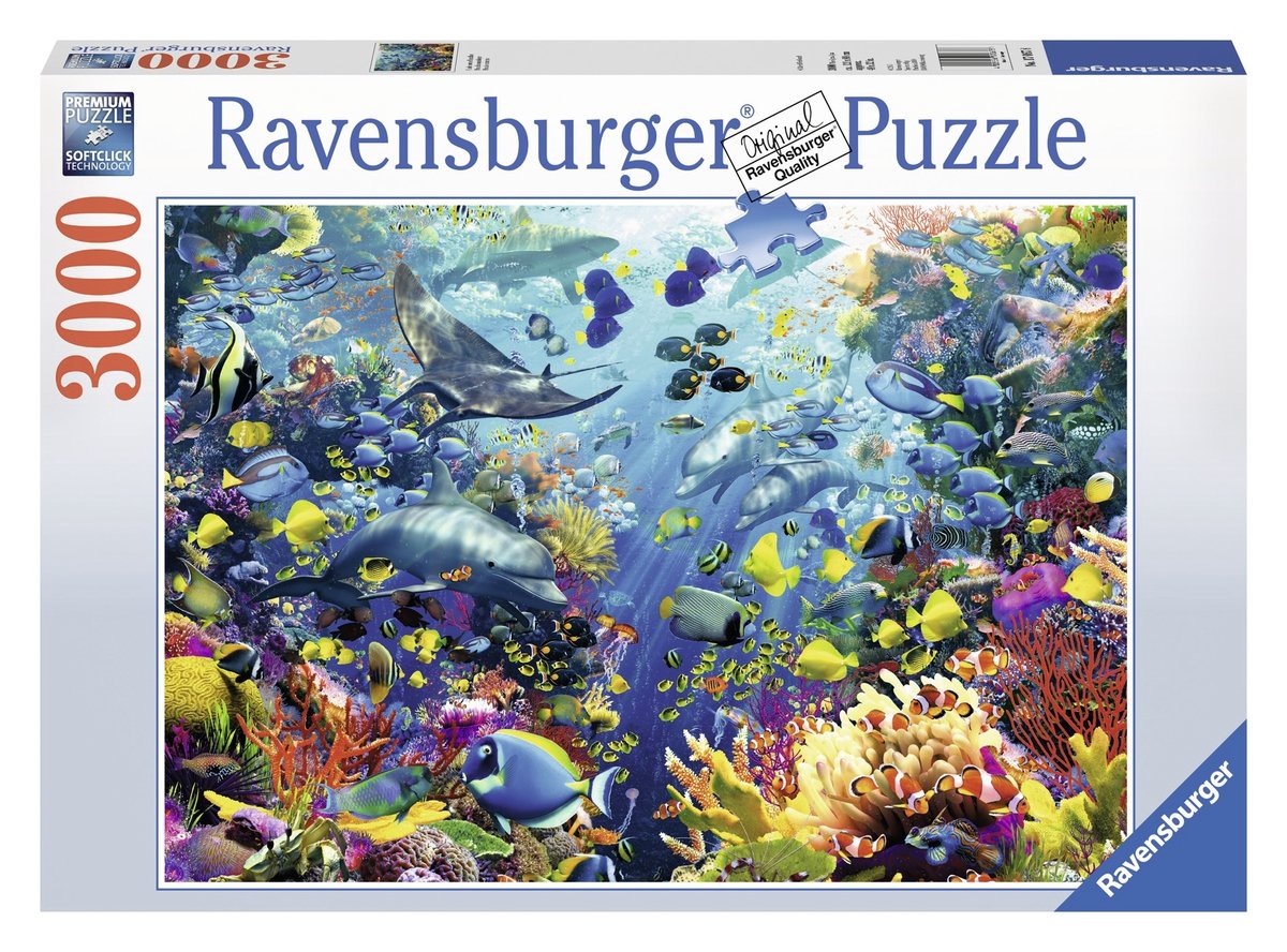 החיים מתחת למים