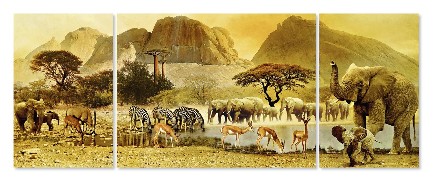 מסע באפריקה - פאזל בשלושה חלקים