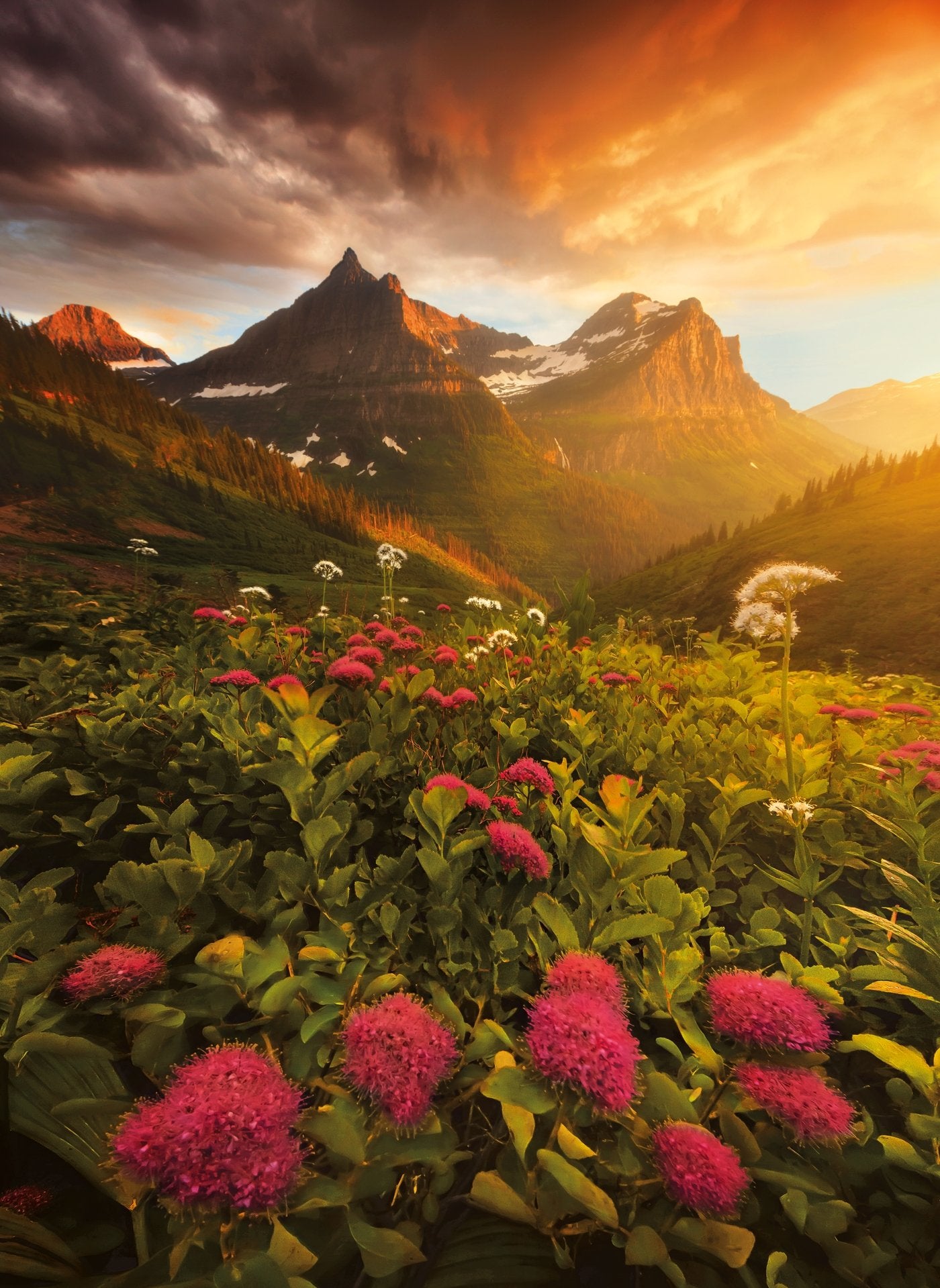 פאזל 1000 חל' - נוף הררי פורח