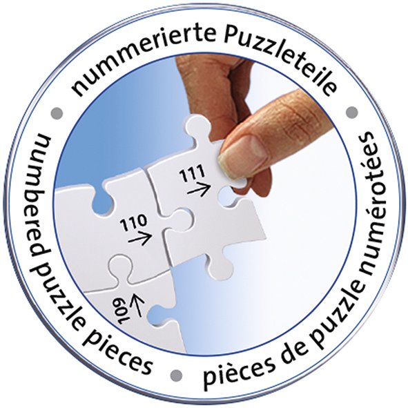 טירת ניוונשטיין - פאזל תלת מימד 216 חלקים RAVENSBURGER