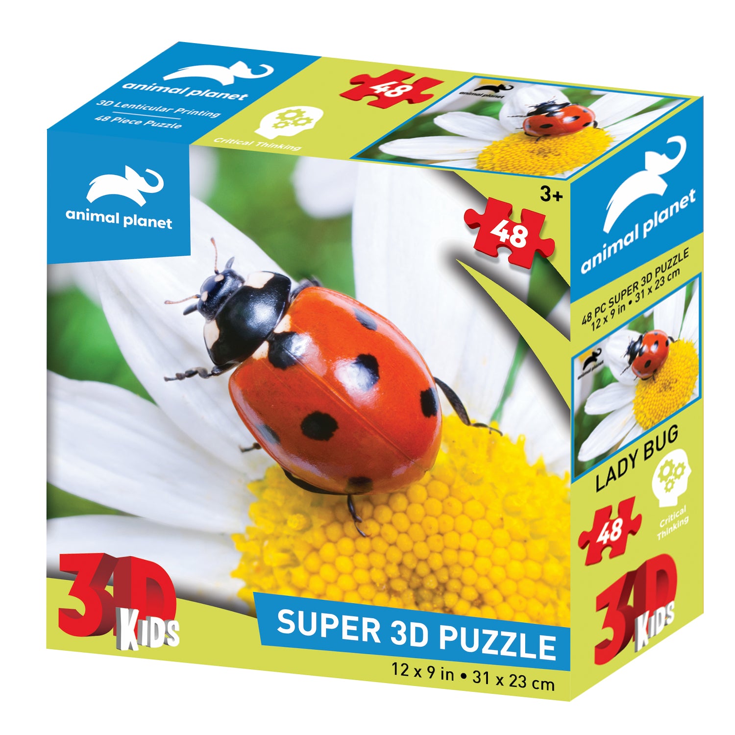 פאזל 3D אופטי 48 חלקים חיפושית