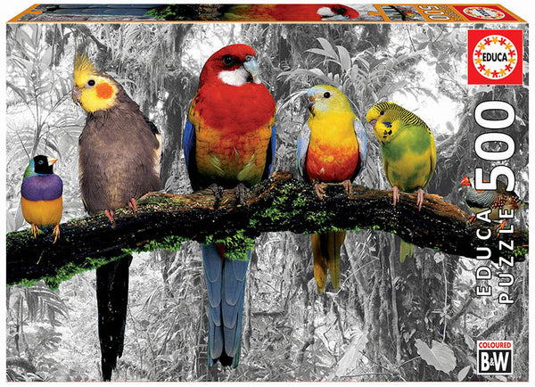 ציפורים בג'ונגל, סידרת B&W - פאזל 500 חלקים EDUCA