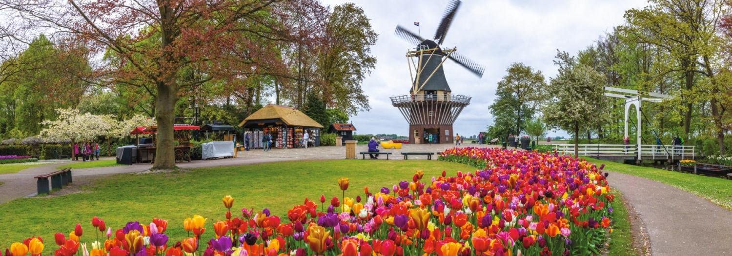 פאזל פנורמי טחנת רוח, הולנד, פאזל 1000 חלקים