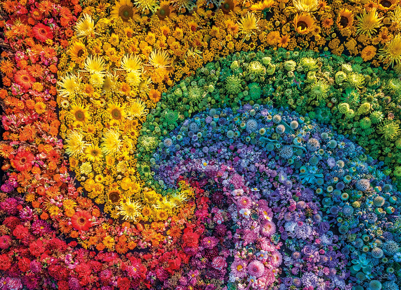 מערבולת פריחה צבעונית, COLORBOOM - פאזל 1000 חלקים