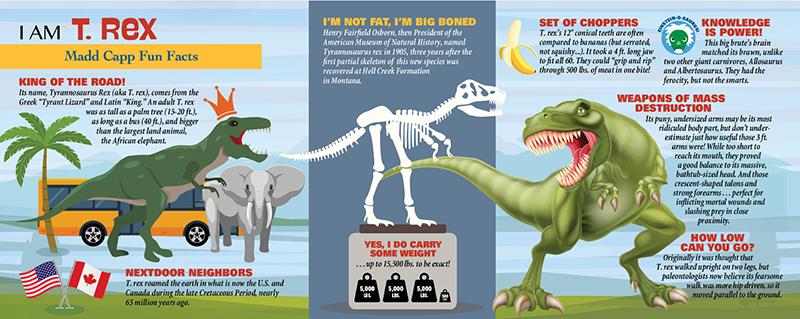 דינוזאור טי רקס - פאזל צוּרני 100 חלקים