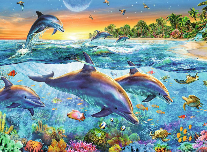 מפרץ הדולפינים
